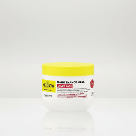 Repair Mask